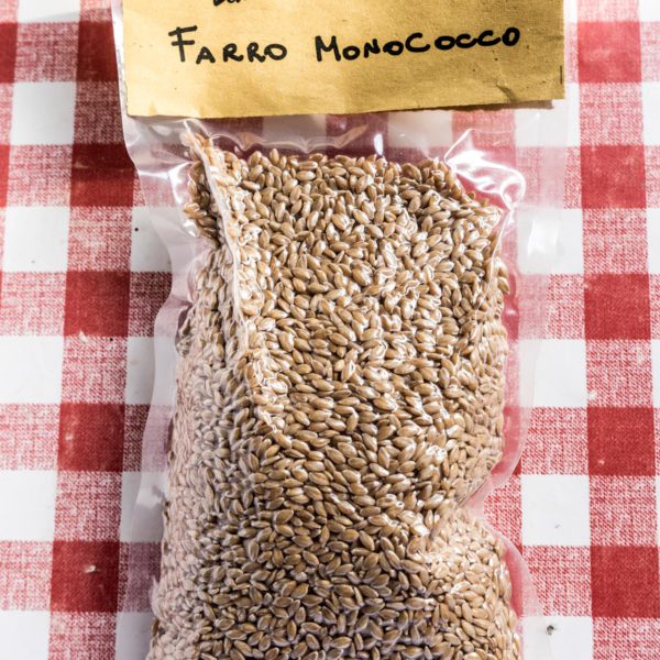 Farro monococco