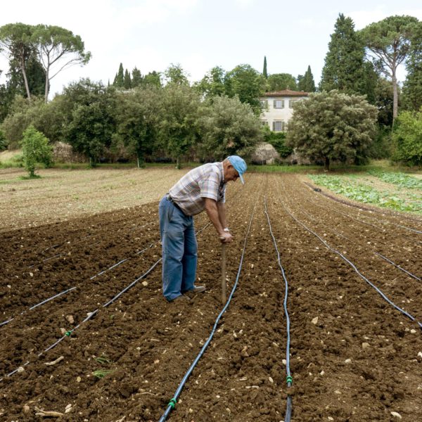 I nostri terreni biologici richiedono una cura quotidiana