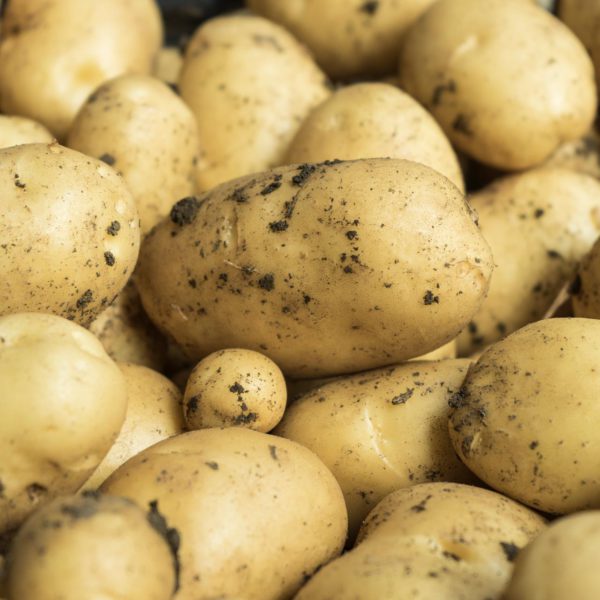 Patate da agricoltura biologica